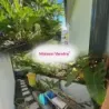 Maison neuve 3 pièces Rivière-Salée à vendre