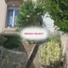 Maison 5 pièces Maxéville à vendre