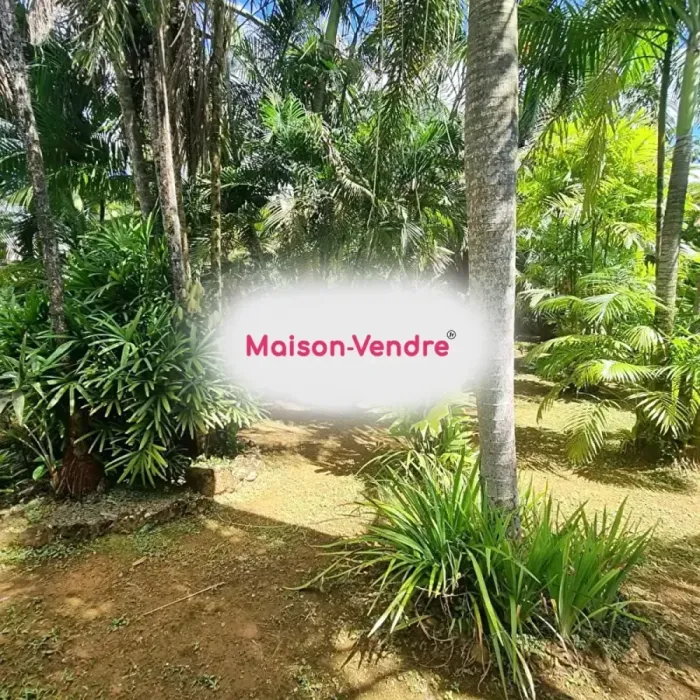 Maison 6 pièces Cayenne à vendre